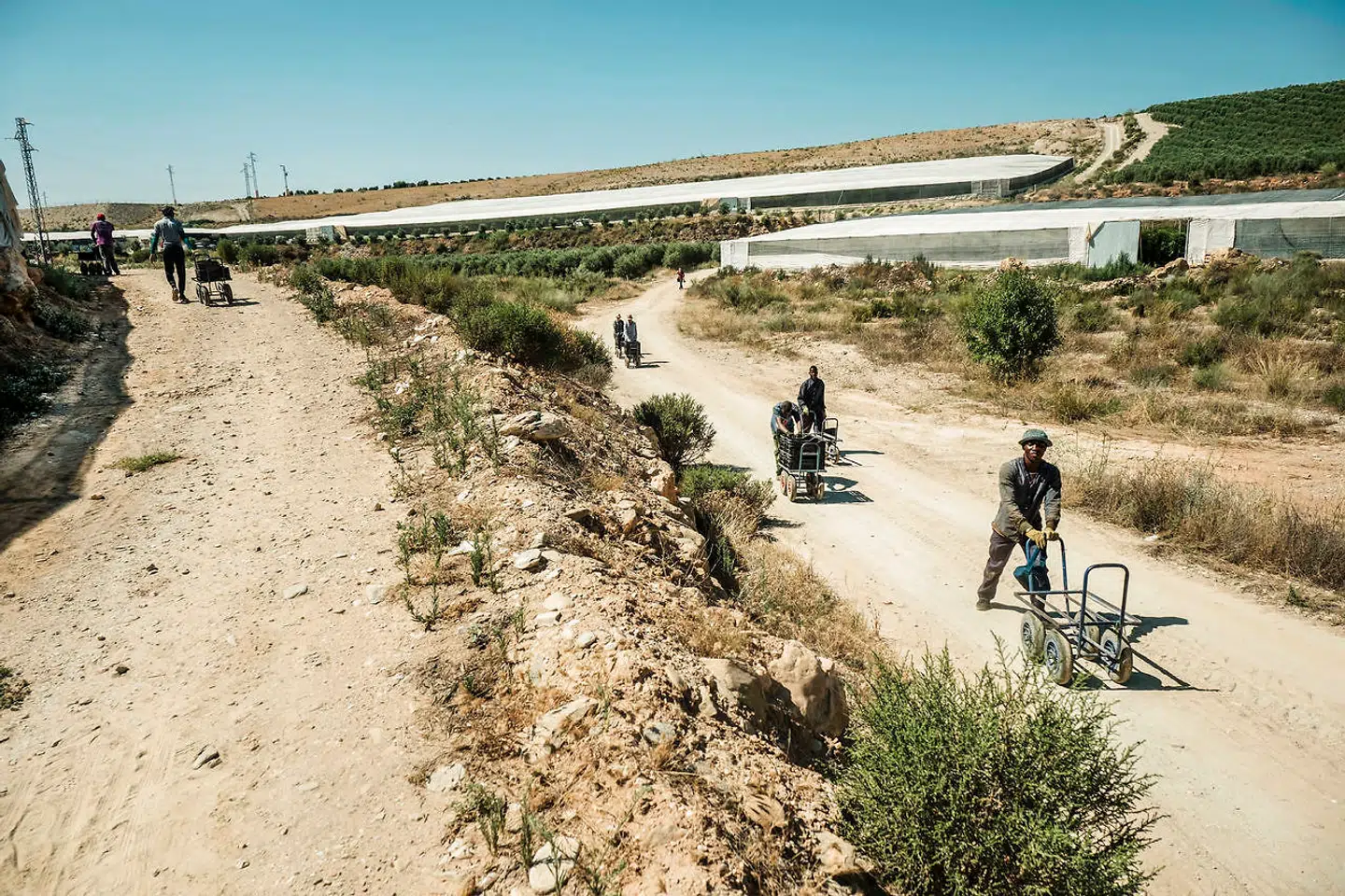 Almería-provinsens rå og knastørre landskab udgør en dramatisk modsætning til den overvældende frodighed inde i drivhusene. Som her på en af de ejendomme, der forsyner Coop-leverandøren, Balcón de Níjar.