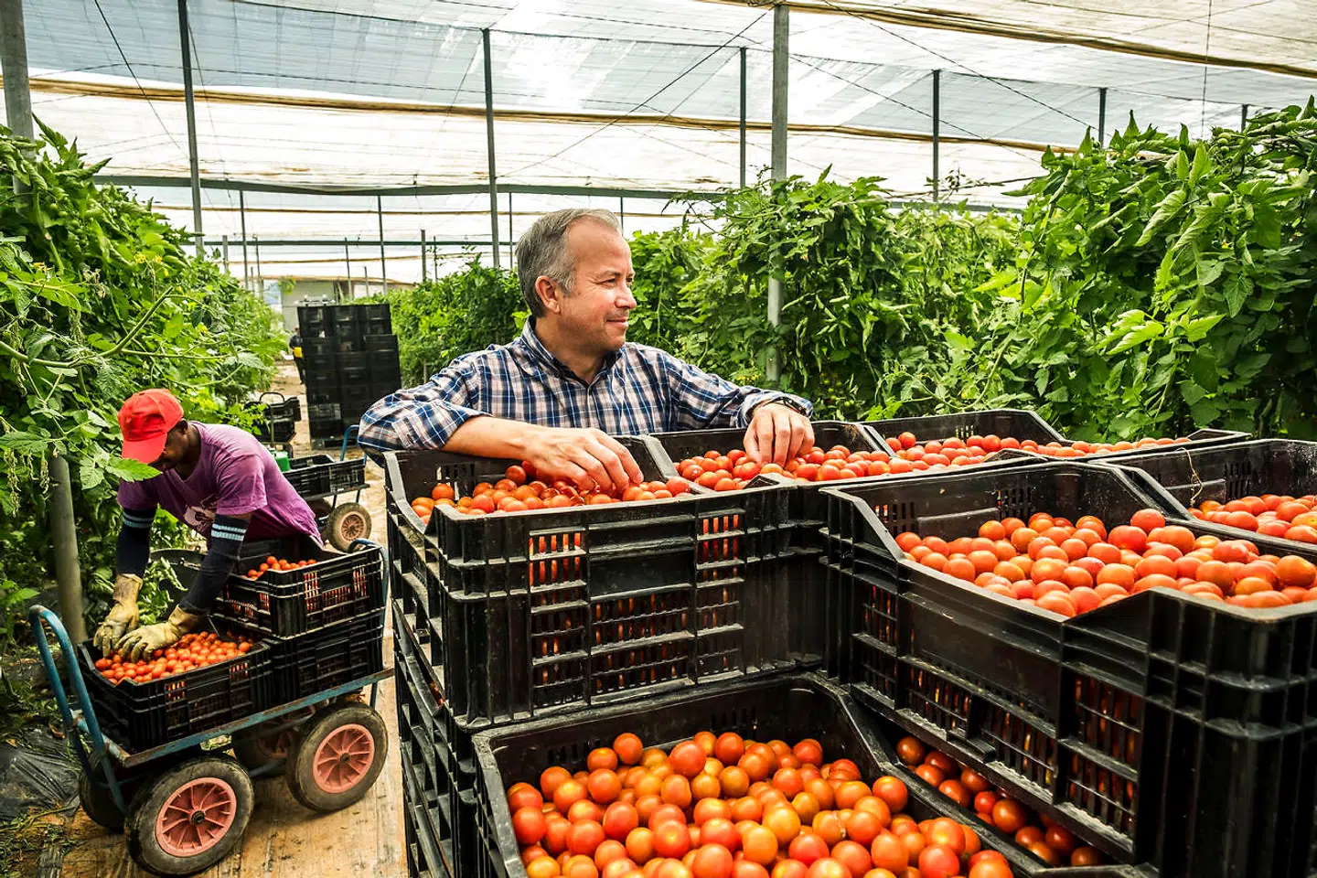 David Caparrós er forretningsfører for Balcón de Níjar, der leverer økologiske grøntsager til blandt andre danske kunder. Han er godt træt af Almería-gartnernes dårlige ry.