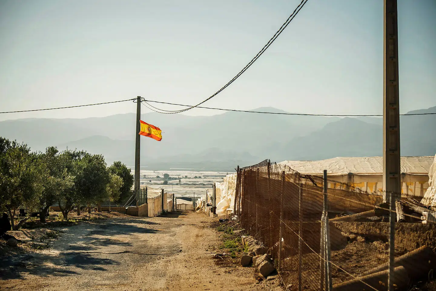 Det er hyklerisk, at EU har travlt med at kontrollere sydeuropæiske landmænd, når man samtidig importerer tomater fra lande som Marokko og Tyrkiet uden at skele til menneskeretskrænkelser og kummerlige arbejdsforhold, mener David Caparrós.