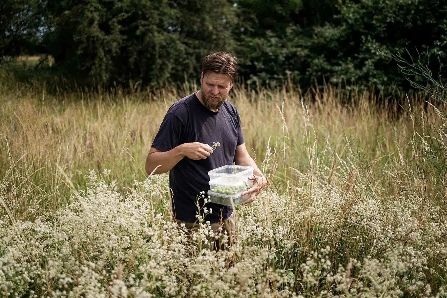 »Jeg håber, appen kan give folk en ny forbindelse til naturen og en ny måde at være i naturen på – som en schweizerkniv, man går med i lommen, og tager frem, når det giver mening. Vi kan se, at appen har fået mange flere download over coronaperioden – sikkert fordi folk har været mere ude i naturen. Jeg håber, at den vil give folk lyst til at hoppe ned på stranden efter tang eller i skoven efter svampe, når det er sæson,« siger Mikkel-Lau Mikkelsen om den nye app.