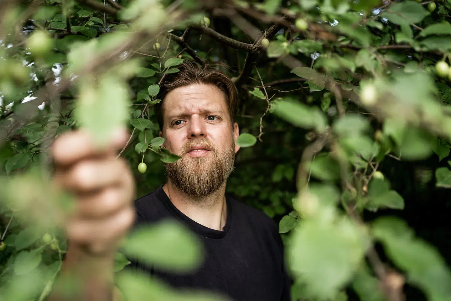 »Kimen blev, at jeg fandt et vildæble på Nokken, der smagte fuldstændig som honningmelon. Jeg blev helt overvældet, og det åbnede mine øjne for, hvad naturen kan – og hvor forskelligt noget så velkendt som æbler kan smage,« forklarer Mikkel-Lau Mikkelsen om den episode, der fik christianshavnerdrengen ud i naturen, hvor han trodser sin ellers heftige græsallergi.