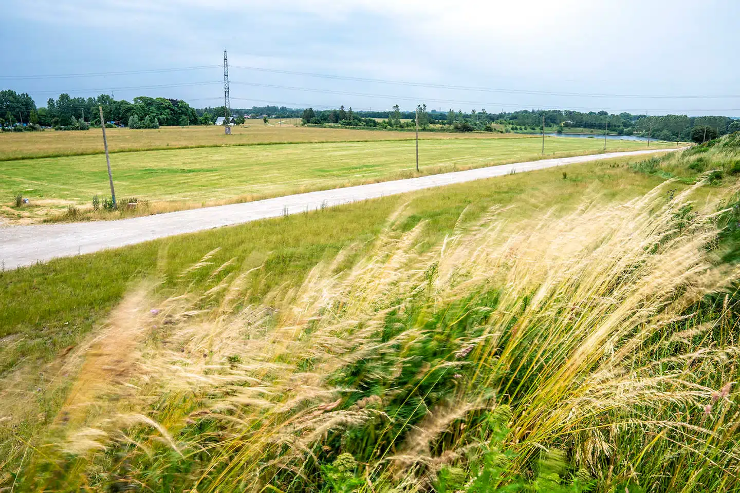 Den tomme festivalplads. I Roskilde efterlader aflysningen af festivalen for andet år i træk dybe spor.