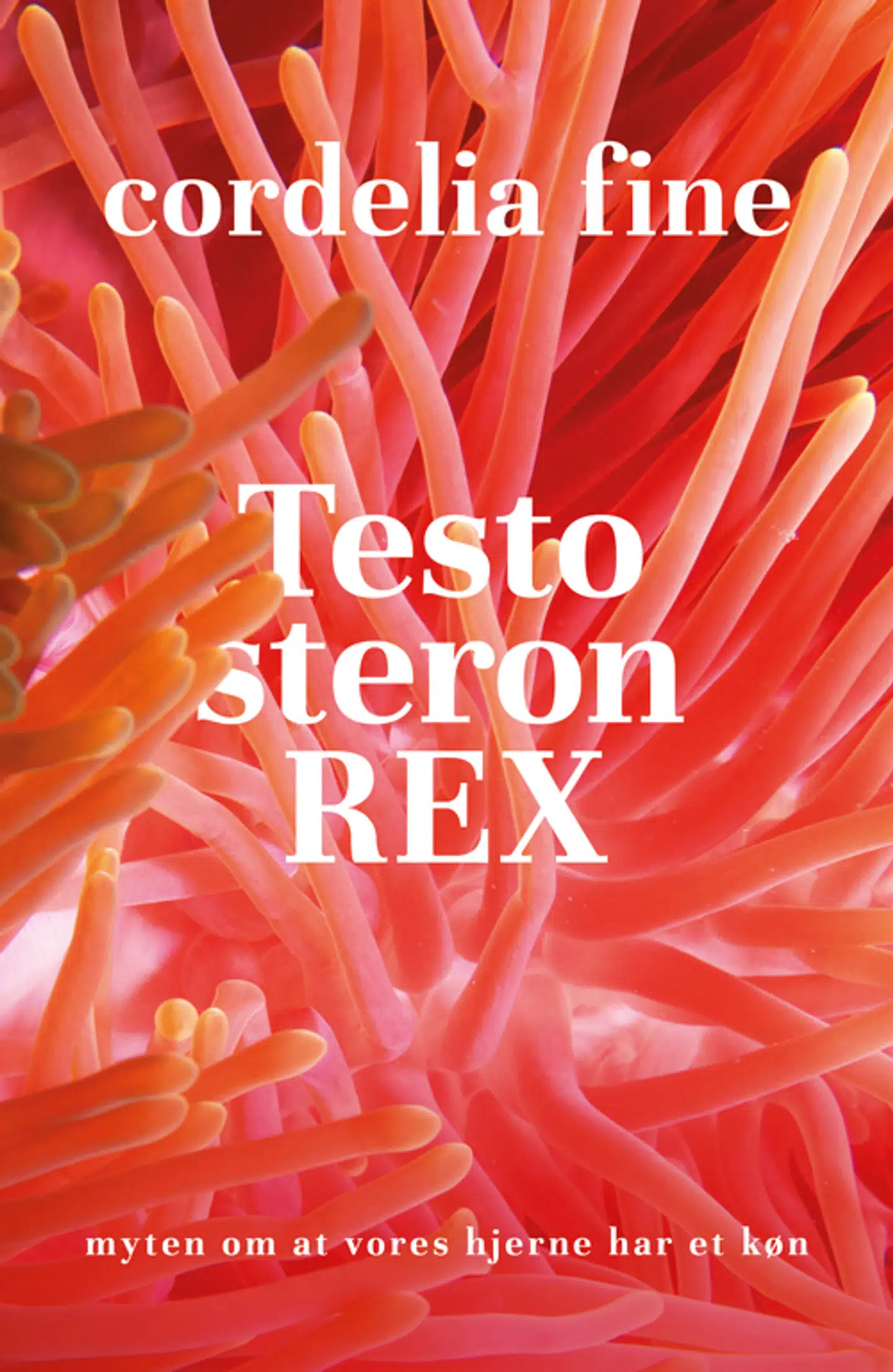 »Testosteron Rex« udkom for første gang i 2017.