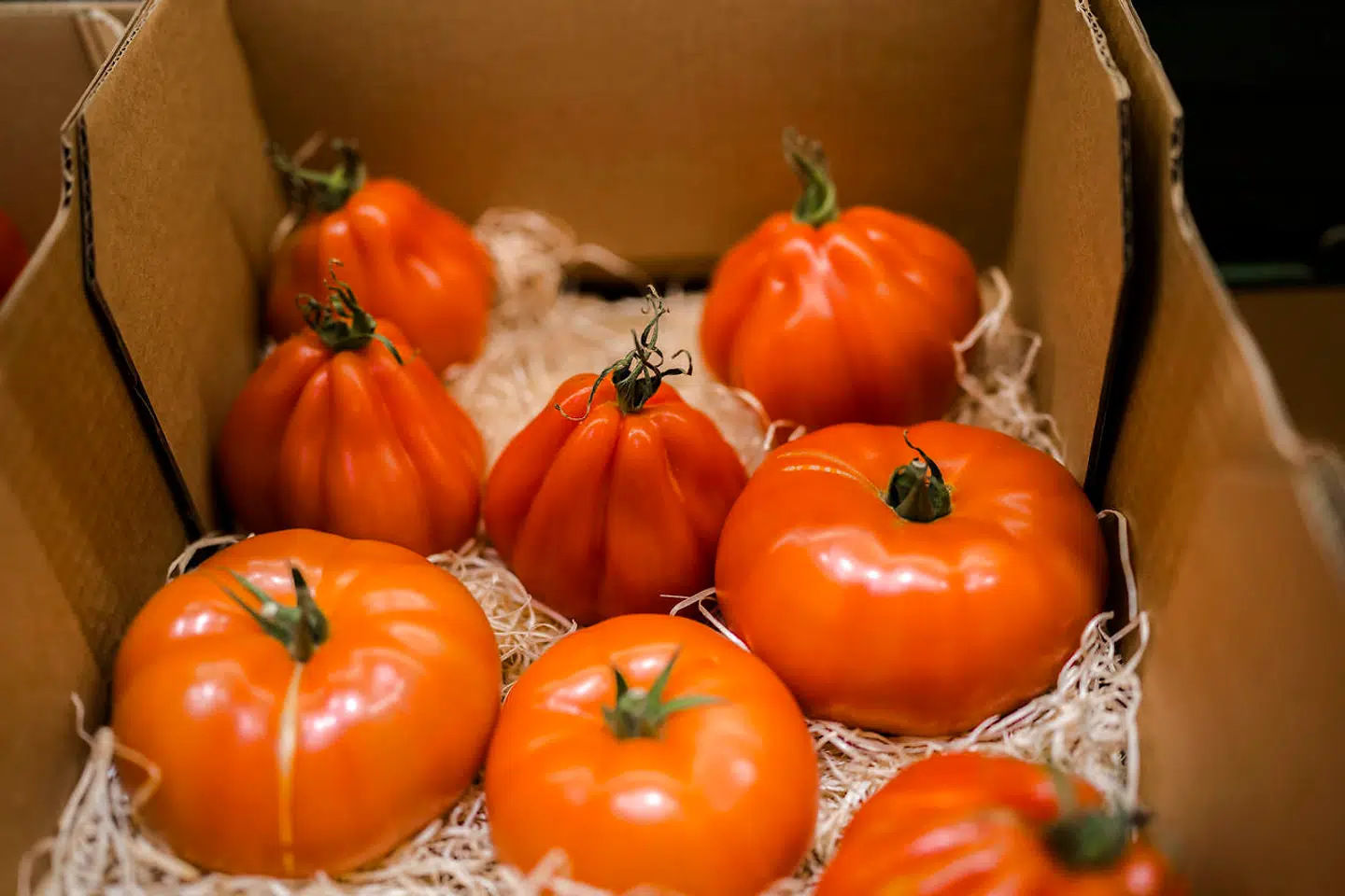 Lidl Danmarks indkøbsdirektør fortæller, at der er sket ekstremt meget inden for tomtater de seneste ti år. Han nævner Coeur De Boeuf-tomater i ikkeklassiske former som et godt eksempel, der har vist sig at være særdeles gangbart hos kunderne.