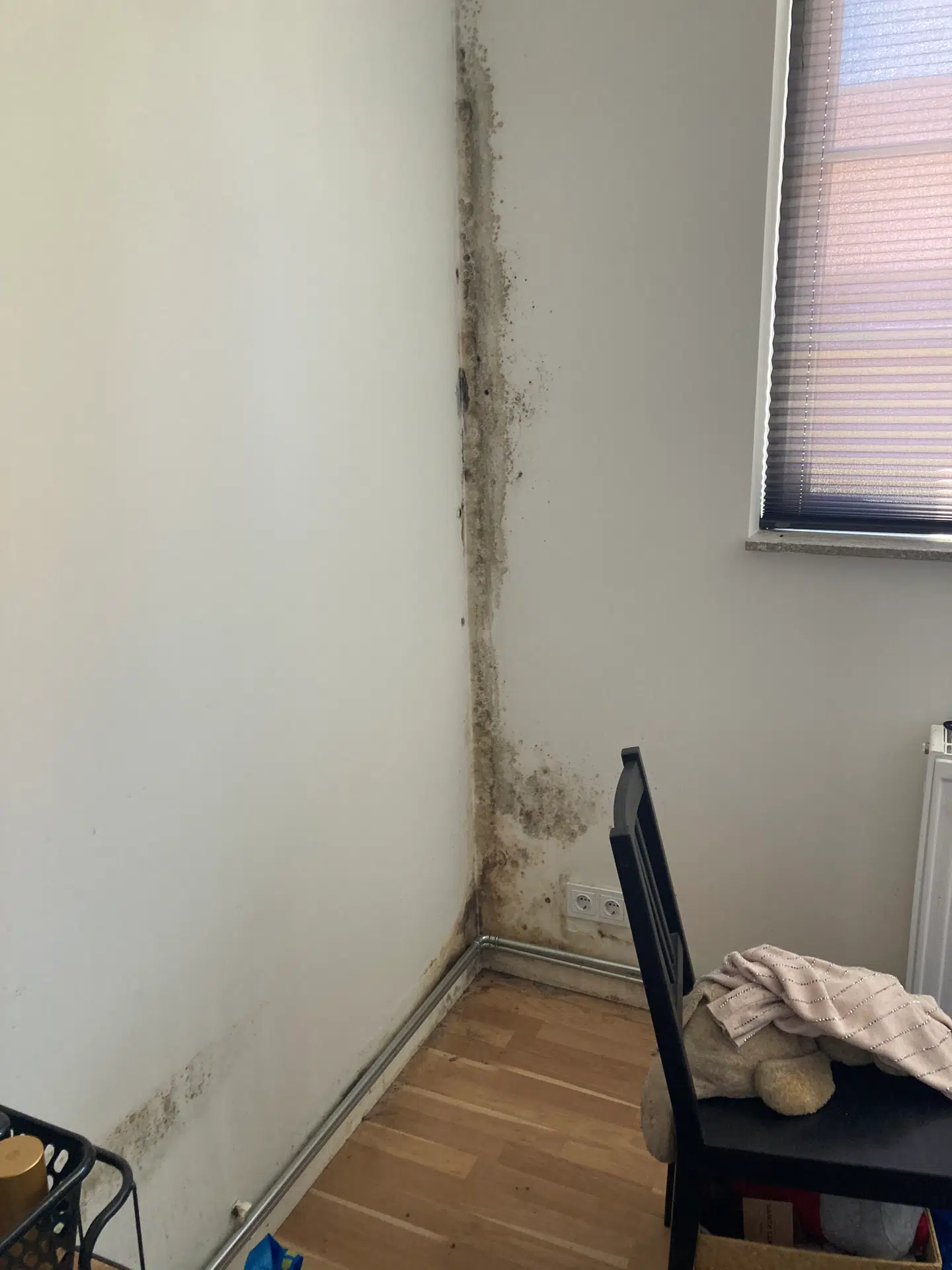 Skimmelsvampen er også kravlet ind i en anden lejlighed i ejendommen i Faxe.