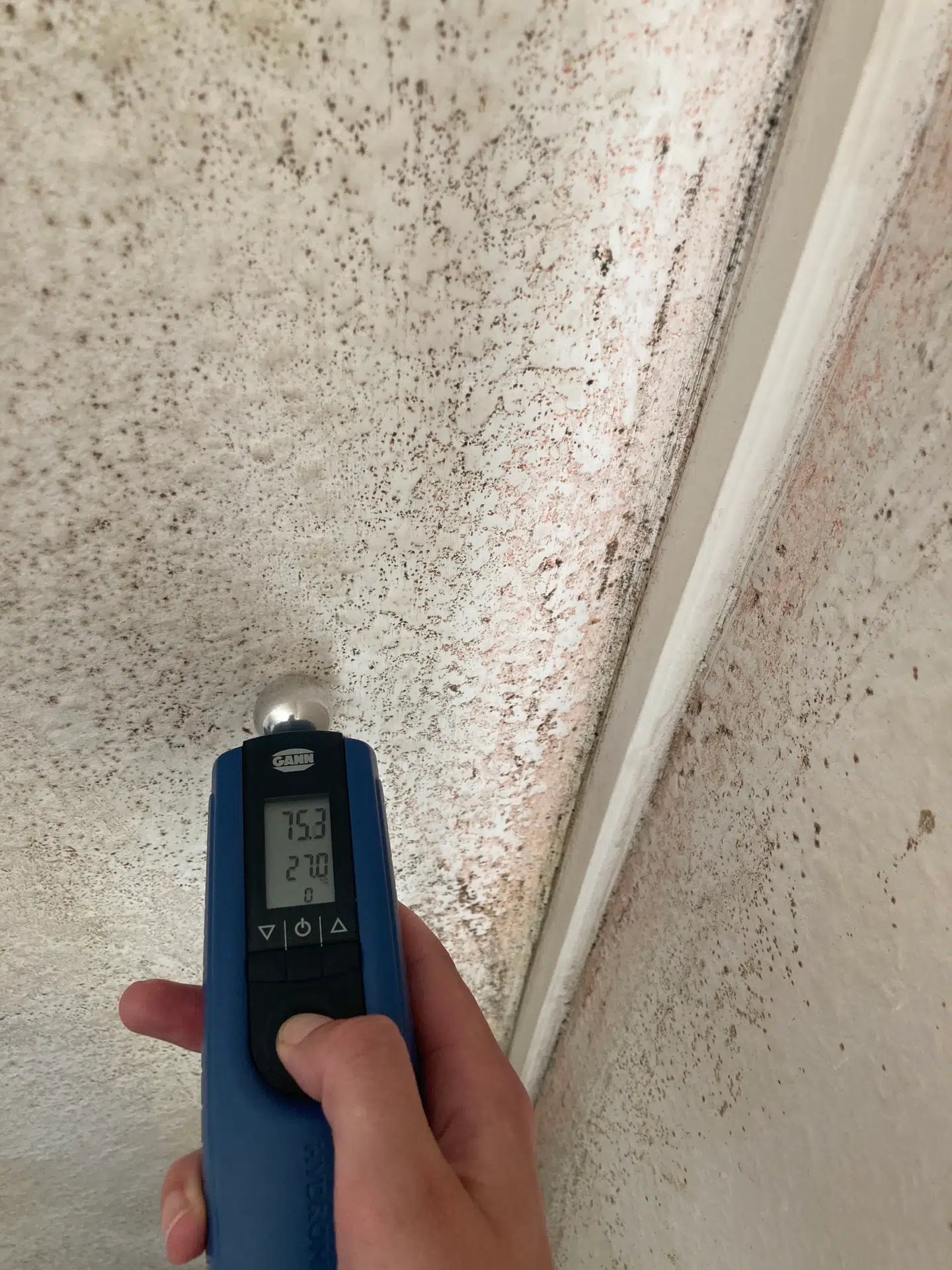 Berlingske har målt fugtniveauet i væggene med en Gant Hydromette. Når fugtniveauet som her er 75, er det et udtryk for, at der er meget fugtigt, og der vil være grobund for skimmelsvamp.