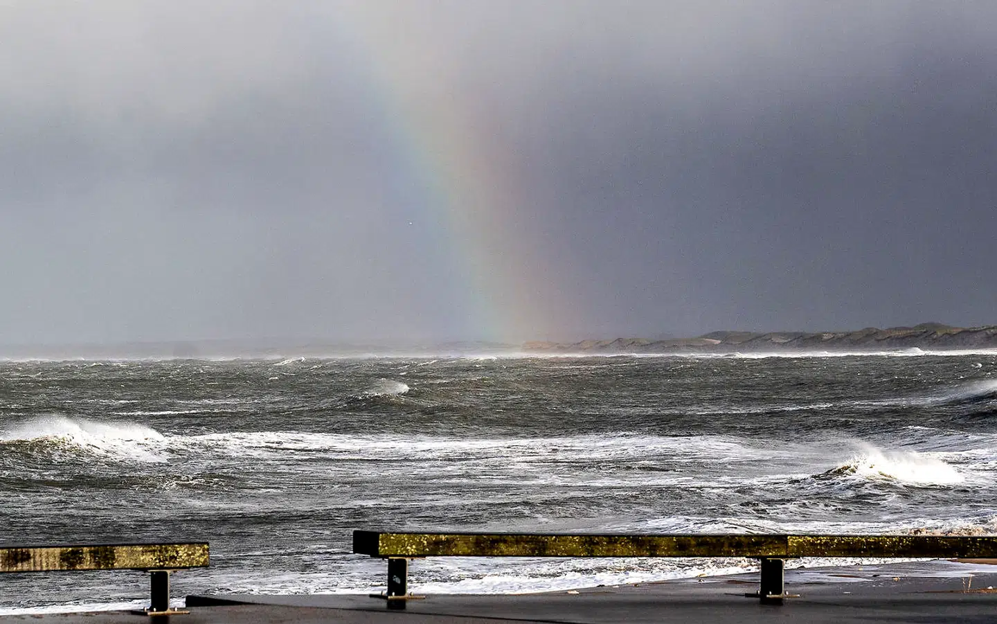 »For umiddelbart får man det indtryk, at bogens hovedperson, der med ar på sjælen, lig i lasten og kompliceret chefbøvl på bagsmækken er blevet tvunget til barndommens Klitmøller, som vikar for en sygemeldt patruljebetjent, havner midt i en stormfuld og Hans Kirk-inspireret religionskrig, som både offer og gerningsmand synes at deltage i for fulde gardiner.«
