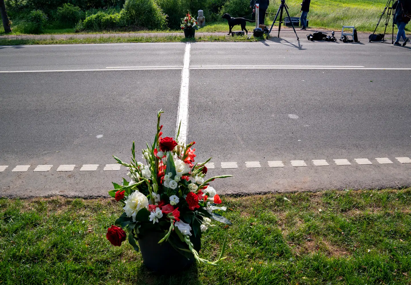Bronzestriben markeren den gamle grænse ved Frederikshøj syd for Kolding, som dronning Margrethe, kronprins Frederik og prins Christian krydsede i karet søndag klokken 10.
