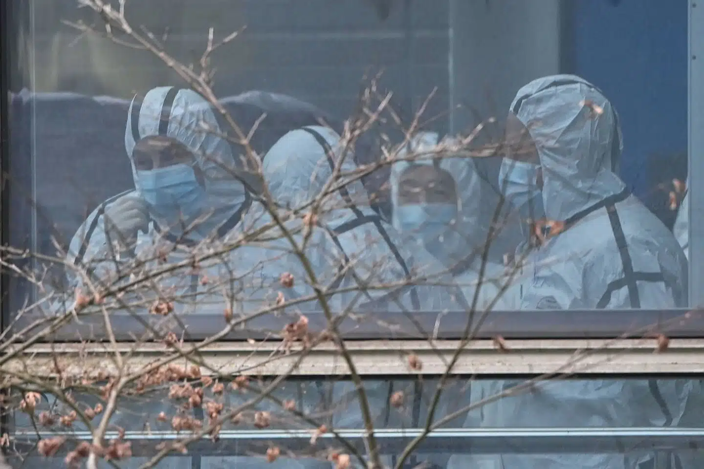 Medlemmer af WHOs mission i Kina besøger et center for dyresygdomme i den centrale Hubei-provins 2. februar. Den danske biolog Rasmus Nielsen var skuffet over WHOs resultater fra turen.