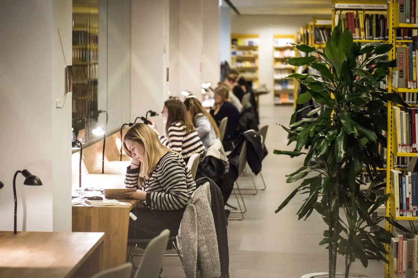 »Mit indlæg her er ikke et kampskrift for flere underskriftindsamlinger. Forskningens bedste forsvar er faglige argumenter, der viser, hvorfor en karakteristik af et felt ikke er korrekt,« skriver Asmus Leth Olsen.