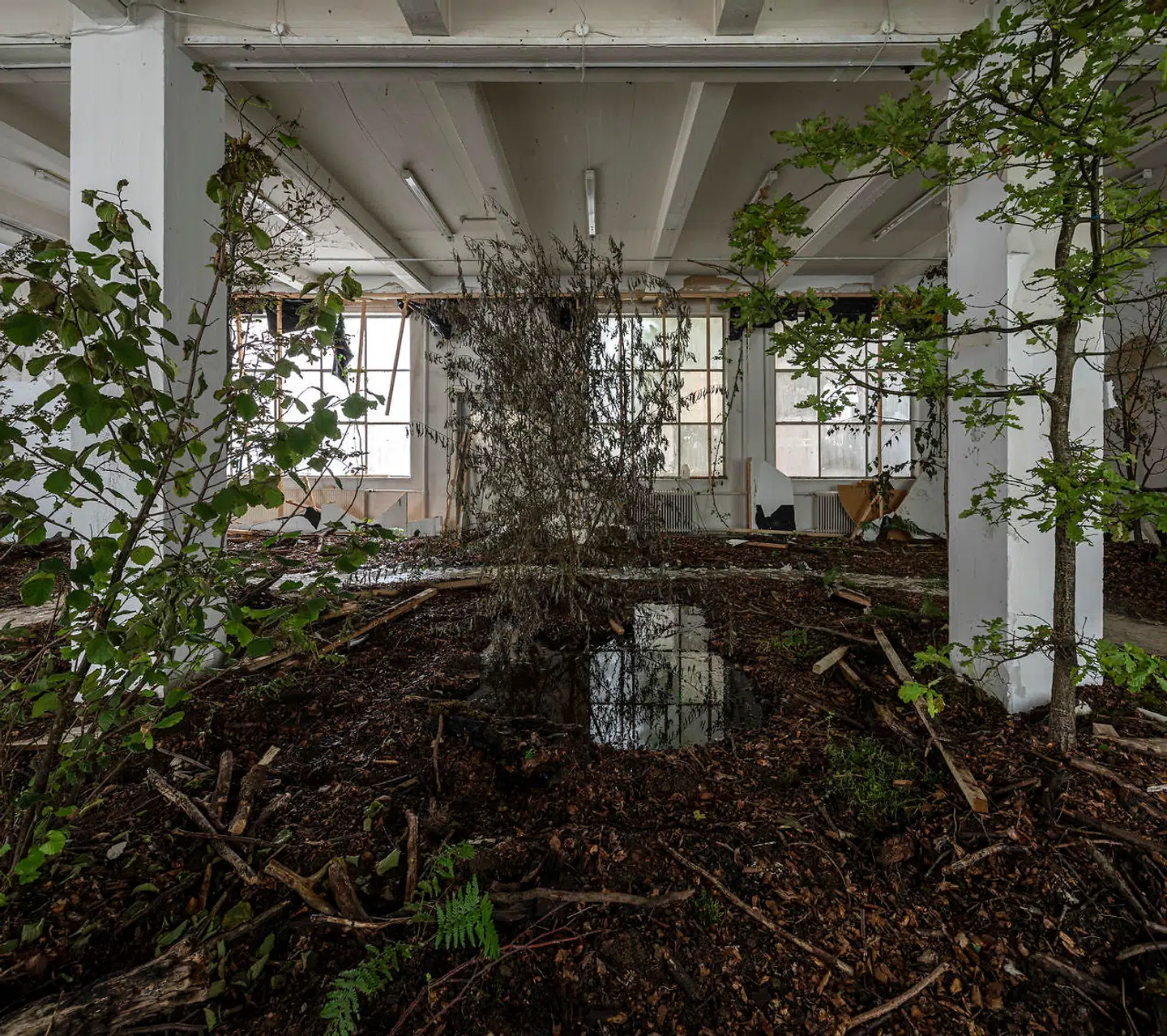 Rune Bosse, »Stien eller tid imellem træer«, 2019, Overgaden, Institute of Contemporary Art, Copenhagen.