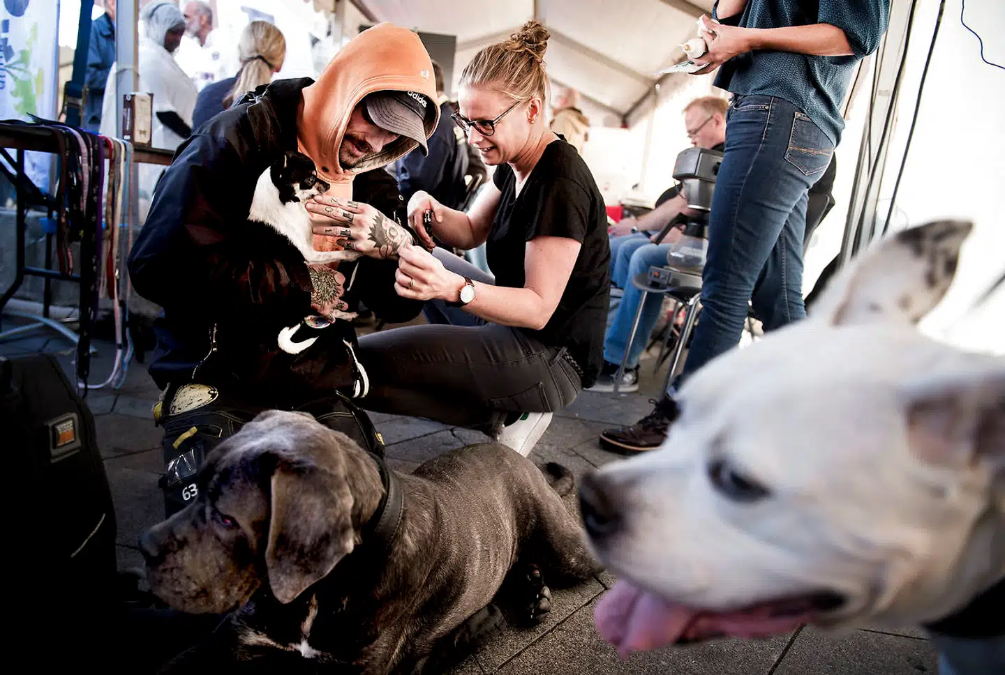 »I betragtning af at samfundet hvert år bruger 54 milliarder kr. på indsatser målrettet socialt udsatte, så mener jeg, at vi bør være mere end almindeligt optagede af, hvad der kommer ud af det, vi gør for de mennesker, vi skal hjælpe,« skriver Helle Øbo.