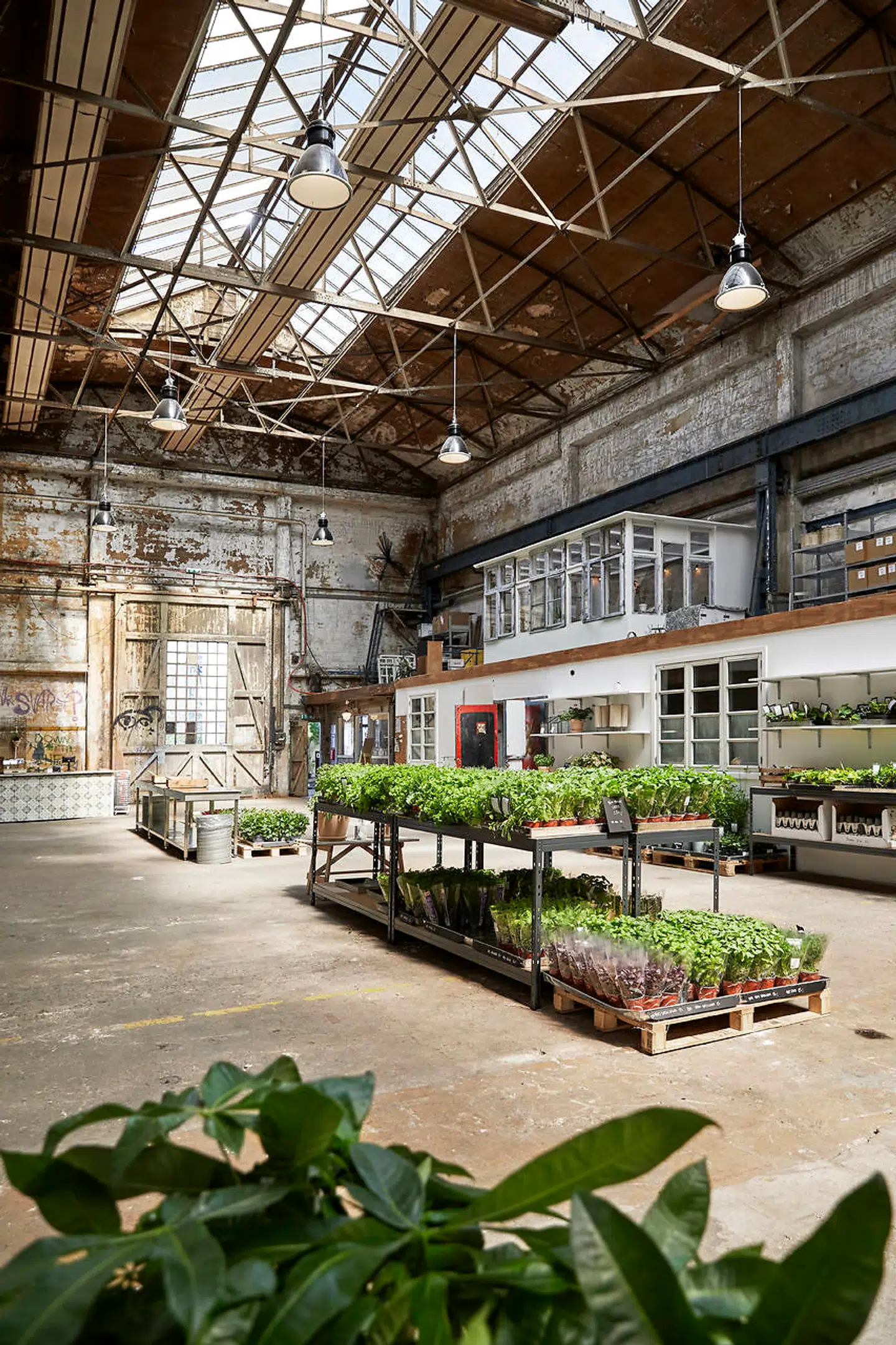 Byens Plantetorv ligger i en gammel maskinhal på Refshaleøen, hvor man nu kan finde planter til lejligheden eller altanen.