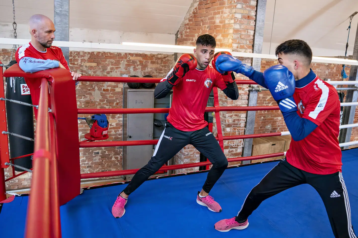 Elitechef og træner Thomas Kyø træner med de to boksere Nikolai Terteryan (blå ærmer) og Sebastian Tertian (sorte ærmer) i træningslokalet i Spinderihallen i Vejle. I weekenden kæmper bokserne om OL-billetter i Paris. Henning Bagger/Ritzau Scanpix