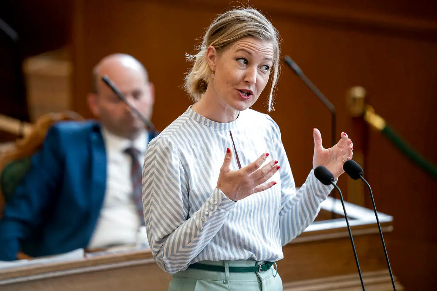 Op til dagens afslutningsdebat i Folketinget lægger De Radikales leder, Sofie Carsten Nielsen, hårdt pres på regeringen for hurtigst muligt at indlede forhandlinger om en ambitiøs reformpakke. Et af de vigtigste mål er, ifølge Sofie Carsten Nielsen, at skaffe mere arbejdskraft.