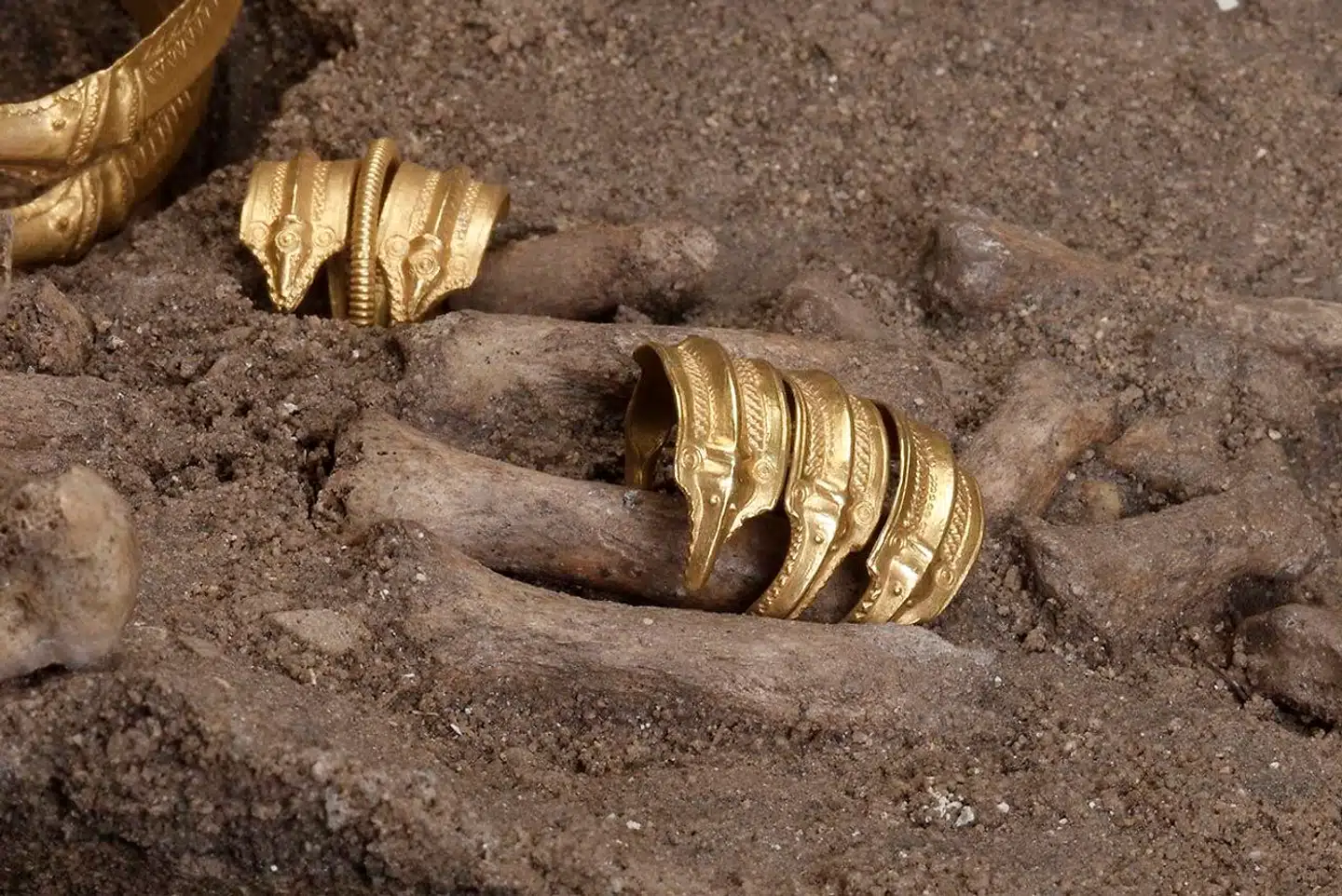 To fingerringe af guld fra Himlingøjekvindens grav. Fundet er fra yngre romersk jernalder.