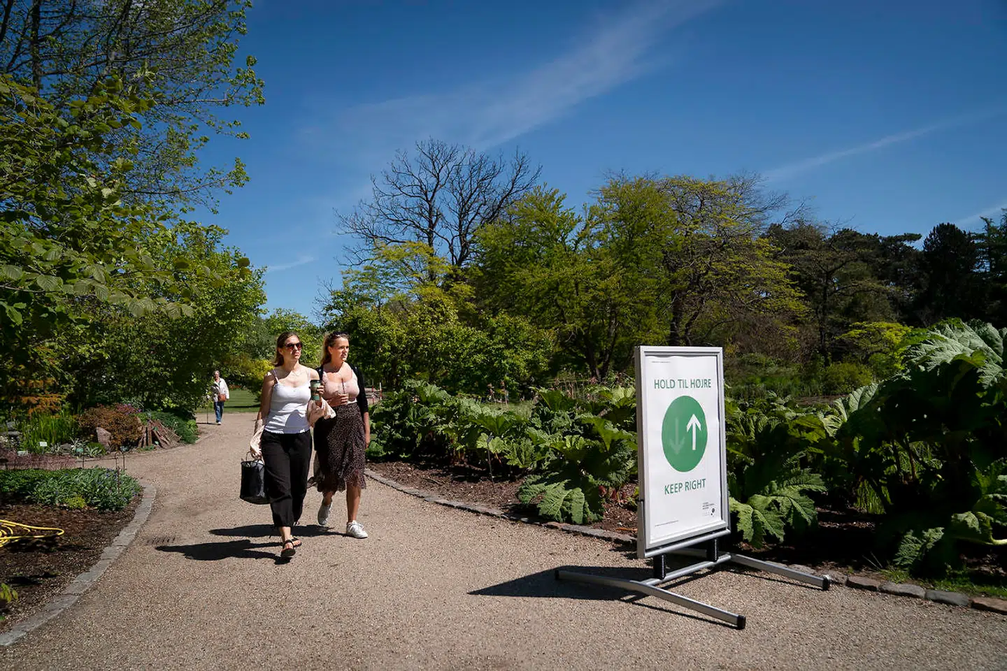 Hvad bliver der af sæsoneffekten? 25. maj 2020 blev der registreret 52 coronasmittetilfælde. I dag, 25. maj 2021, ligger tallet på 794.