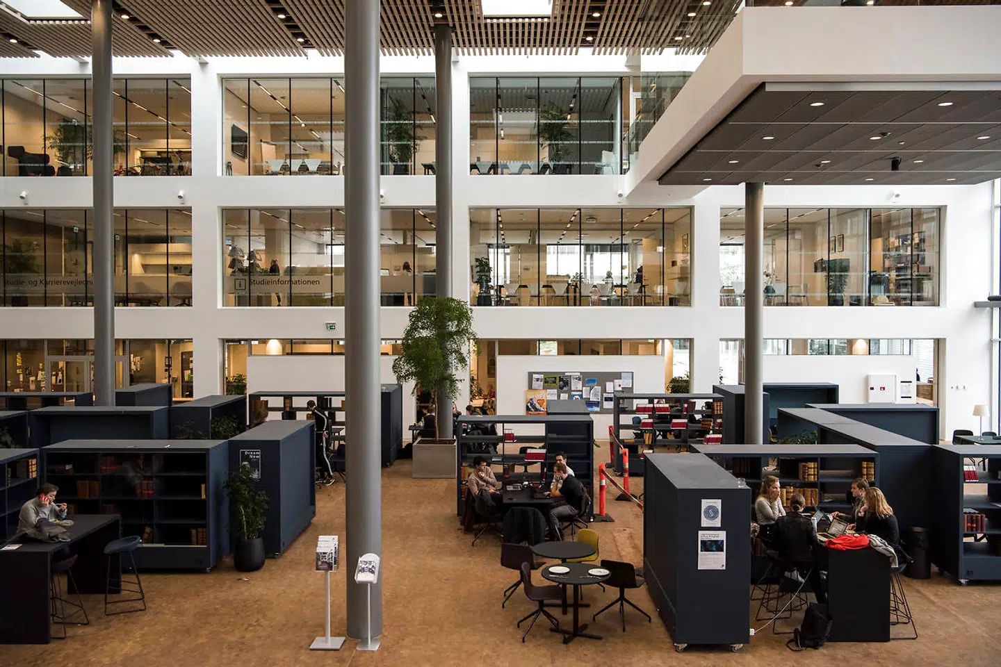 »Selsing kan ikke lide den såkaldte 'dentitetspolitik' på universiteterne, som han betegner som 'pseudovidenskab',« skriver Lars Qvortrup.