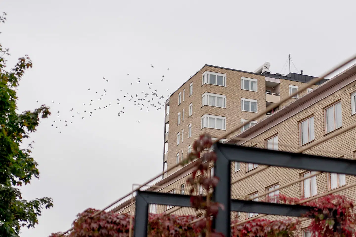 Eskilstuna er præget af store boligområder med lavt etagebyggeri. Byen har i en række år været lidt af en magnet for blandt andet indvandrere, som er flyttet til den gamle industriby i stort tal.