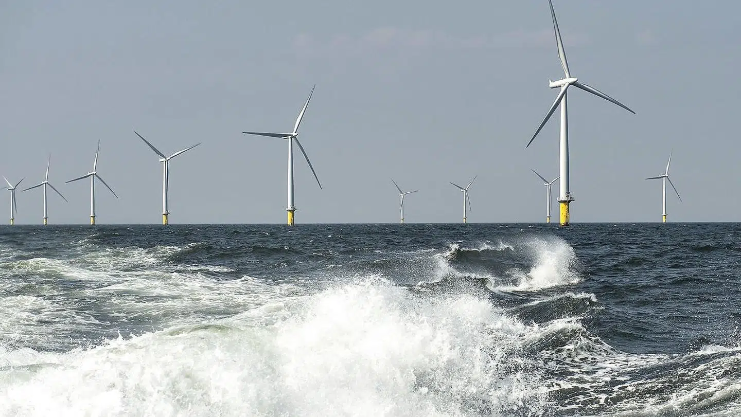 Efter et år med store investeringer i grønne selskaber som danske Ørsted og Vestas ændrer investorernes fokus sig nu, hvor verden begynder at se mere normal ud.