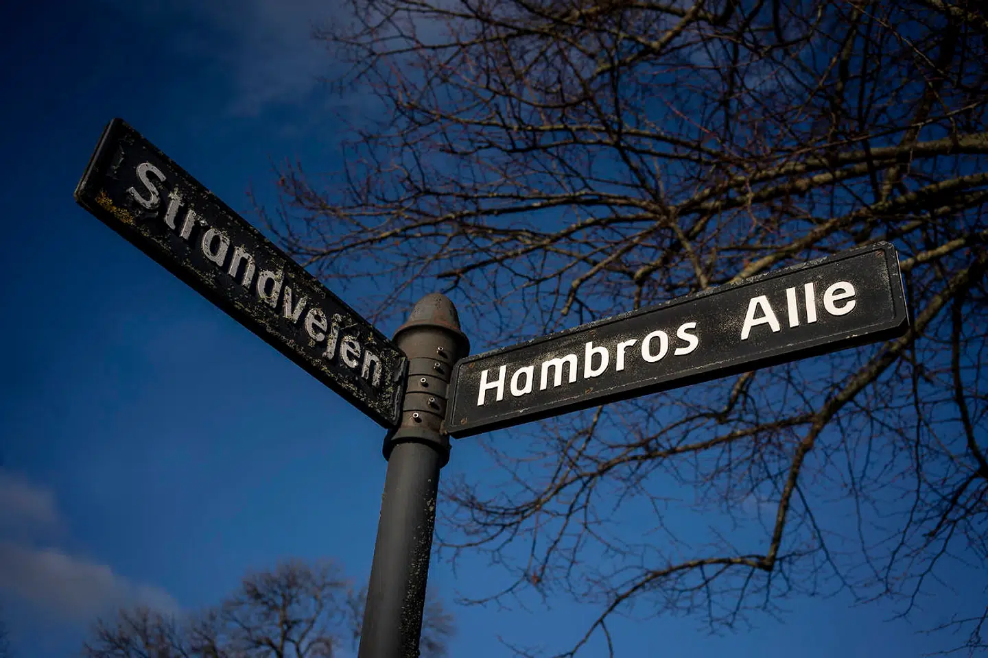 »Lad mig understrege, at jeg har den største respekt for flokken af dygtige investorer og erhvervsledere og ikke misunder dem en rimelig aflønning. Problemet er, at de superrige og de gigantiske multinationale virksomheder betaler lidt eller intet i skat,« skriver Mogens Lykketoft