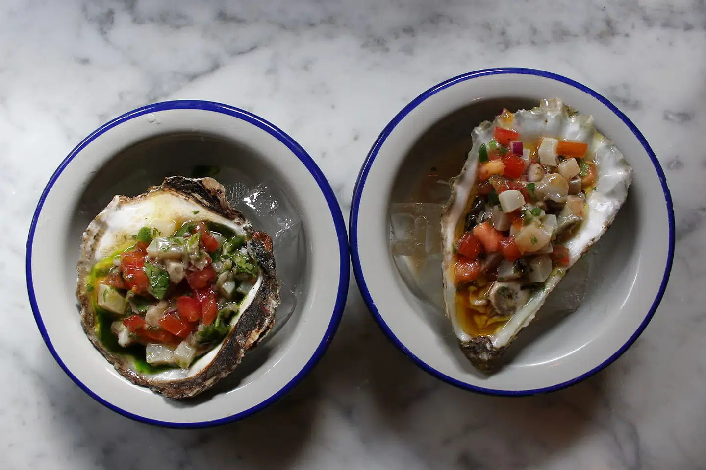 Der skaldyr på menuen på det nye spiseri – her Limfjords Ceviche med ramsløgolie og 'Gigas Østers Ceviche' fra Venø.