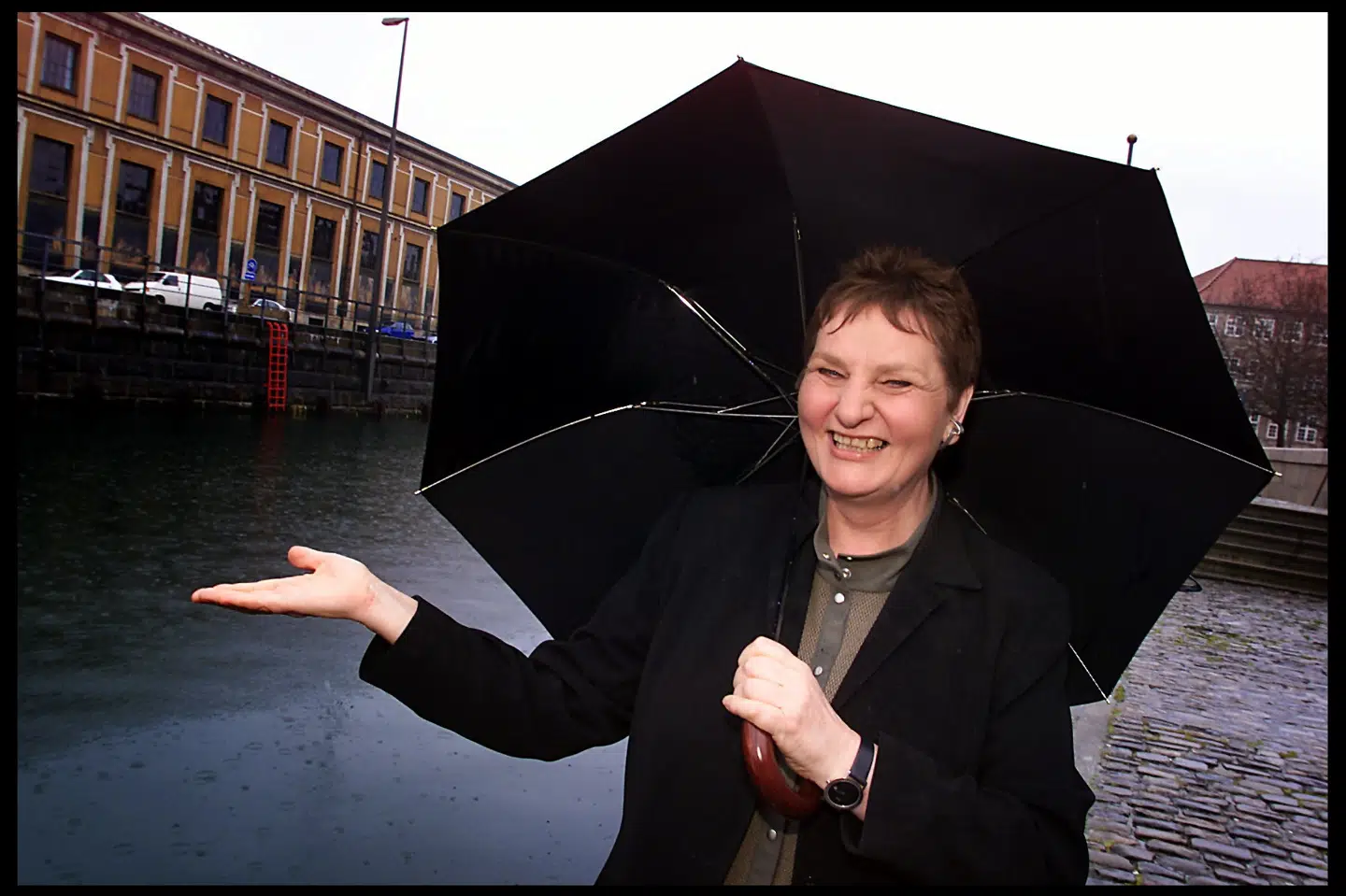 Birte Weiss nåede adskillige ministerposter i de sammenlagt 25 år, hun sad i Folketinget for Socialdemokratiet i perioden fra 1971 til 2001. Perioden som indenrigsminister blev særligt betydningsfuld for hende, da hun her fik ansvaret for de bosniske flygtninge, der kom til Danmark efter at være flygtet fra borgerkrigen. Senere skrev Birte Weiss flere bøger om deres skæbne. (Arkivfoto) Jørgen Jessen/Ritzau Scanpix