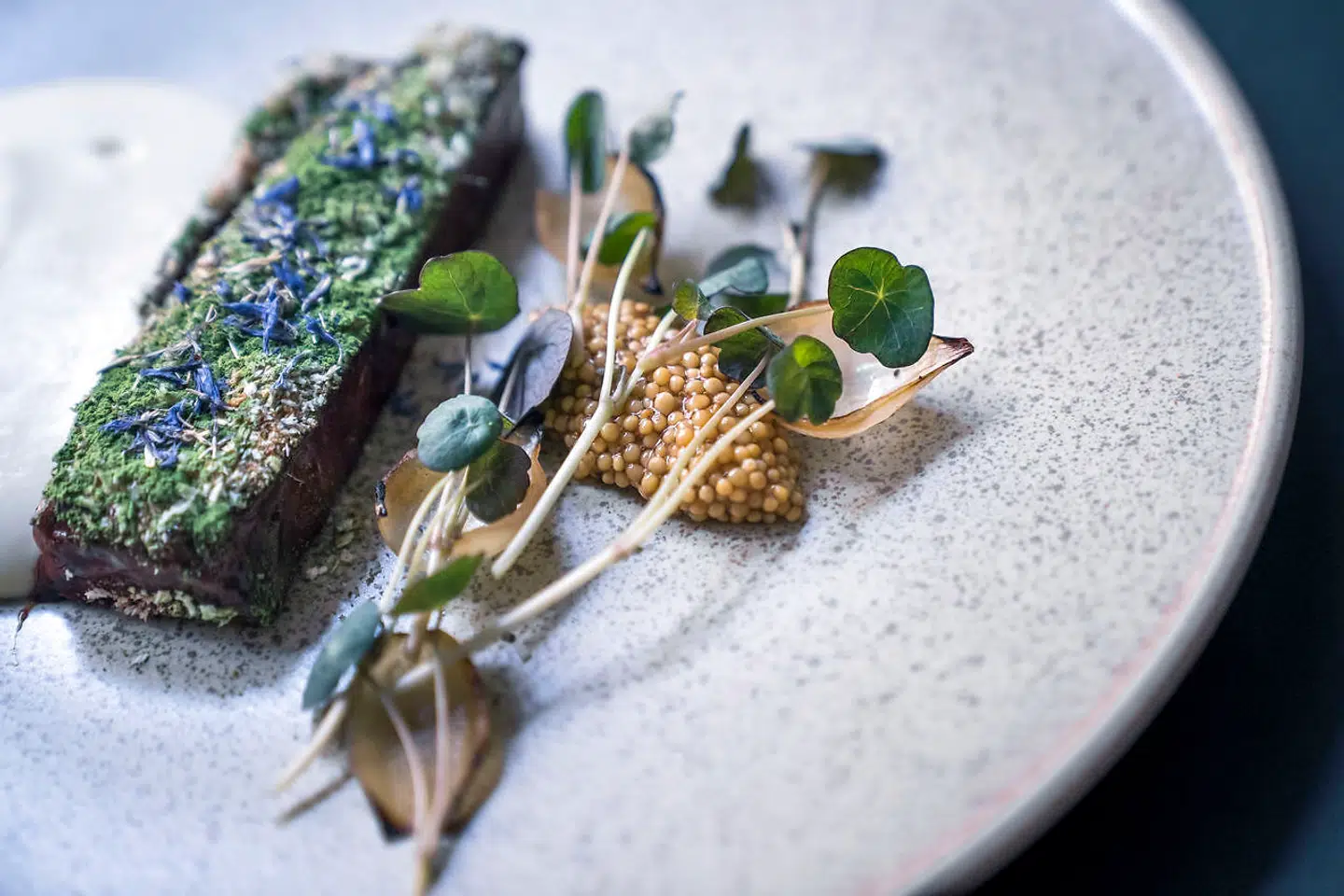 Kalvebryst med kartoffelcreme, brændte løg og sennepsfrø.