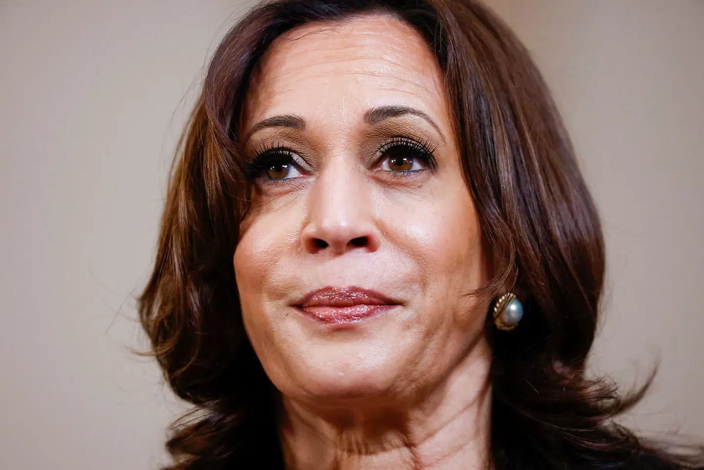 Den falske historie om Kamala Harris opstod, efter at der blev taget ét fotografi af hendes børnebog, »Superheroes Are Everywhere«, ved et migrantcenter i Californien.