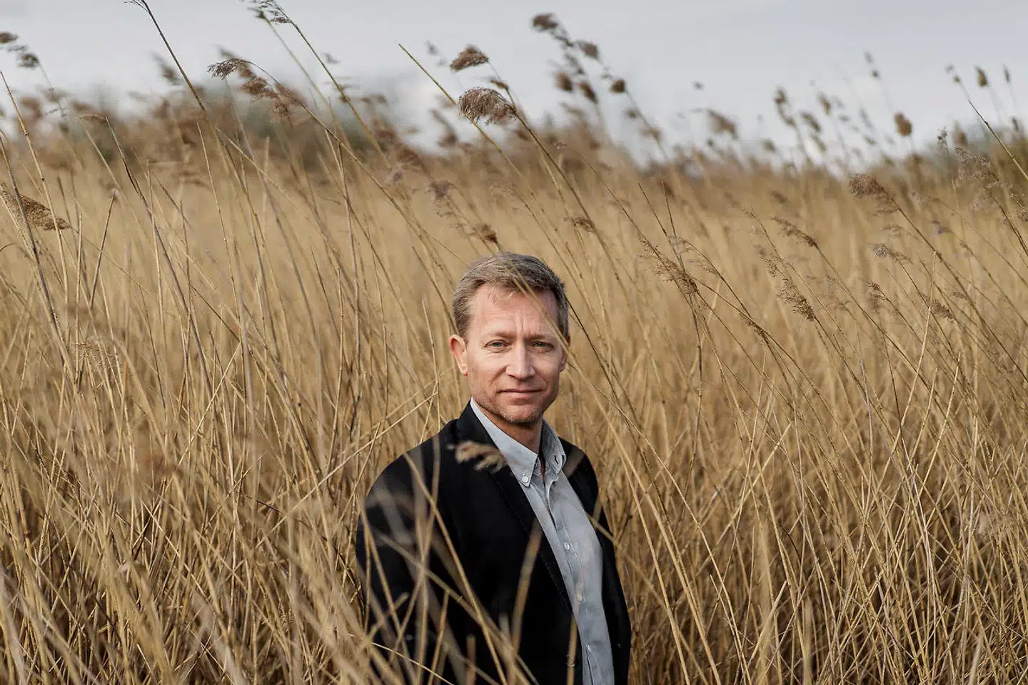 »Når man traditionelt arbejder med drømme, så foregår det sådan, at man har en drøm, og så tolker man på den. I en lucid drøm kan man i stedet vende sig mod det menneske, der måske forfølger en, og spørge: »Hvem er du? Hvorfor er du efter mig? Hvad vil du?«, siger Michael Rohde, der er foredragsholder, forfatter og forsker i drømme og ubevidst intelligens.