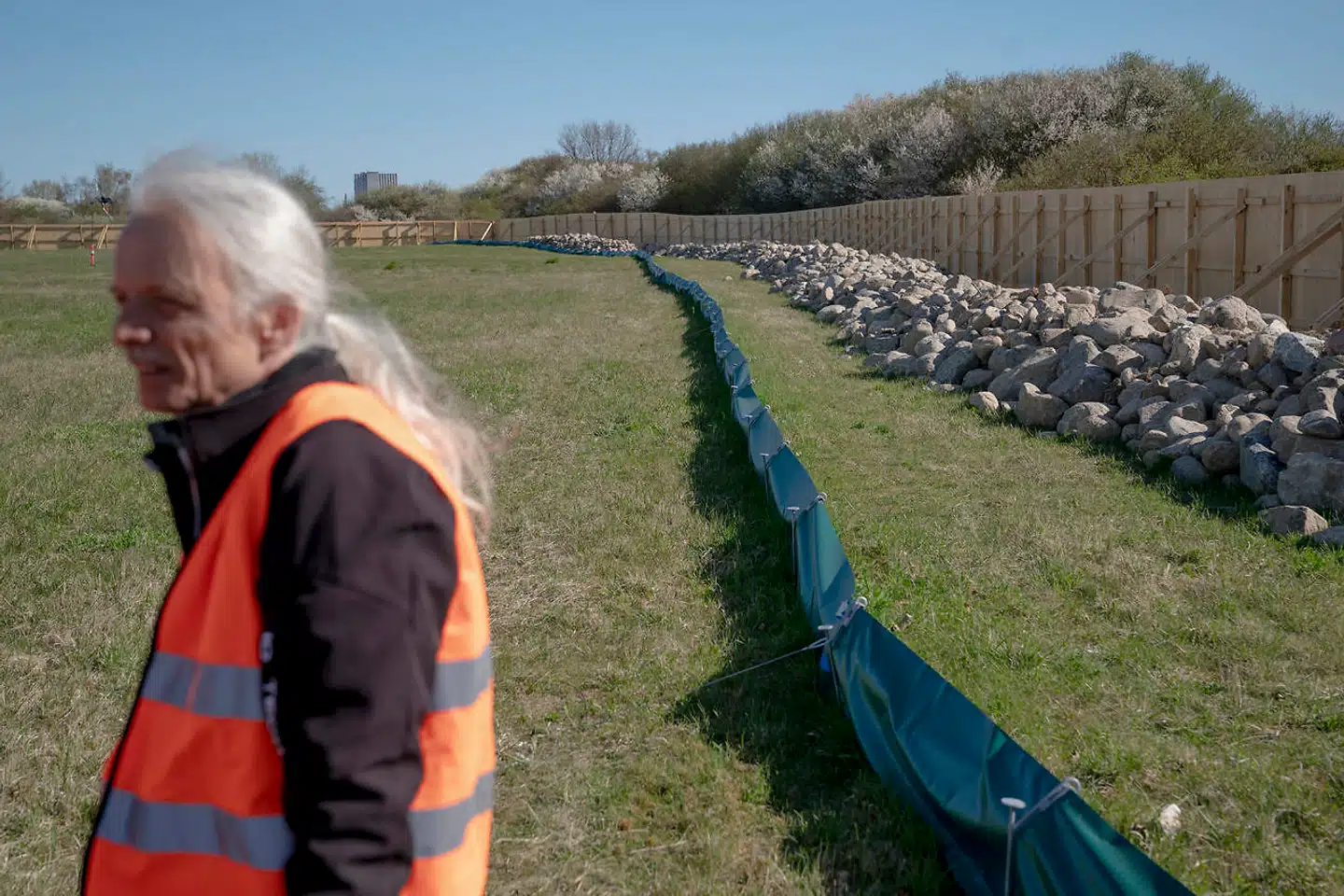Biolog Jacob Ingerslev fra Sweco foran paddehegnet og bagved det permanente stendige, hvor stor vandsalamander i fremtiden vil kunne søge ly og hi. Paddehegnet er dog ikke lavet ordentligt, mener Amager Fælleds Venner.