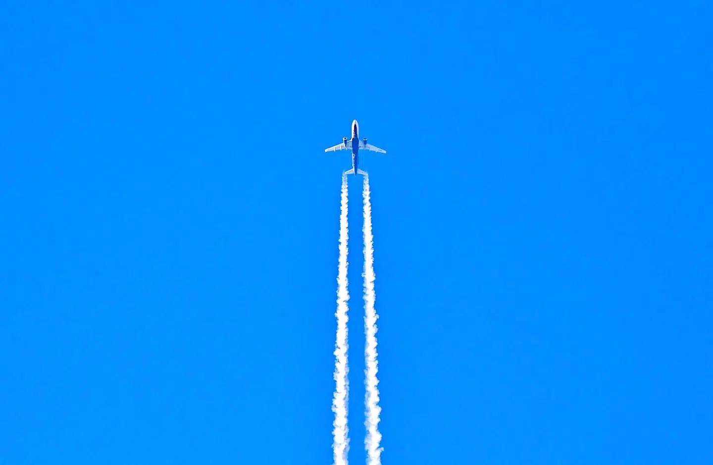Den ukendte mand faldt ud af et fly, da det befandt sig i cirka en kilometers højde over det sydvestlige London.