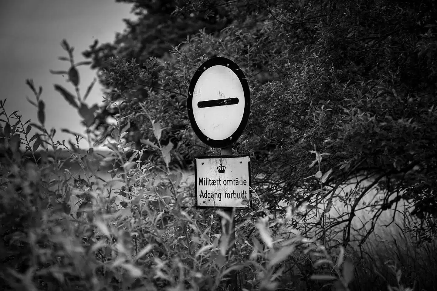 Efter en række historier om overgreb og krænkelser i blandt andet Berlingske i efteråret 2019 erkendte Forsvaret og Forsvarsministeriet, at der skal gøres mere for at nedbringe omfanget af krænkelser og overgreb, og lancerede en særlig indsats mod problemet.