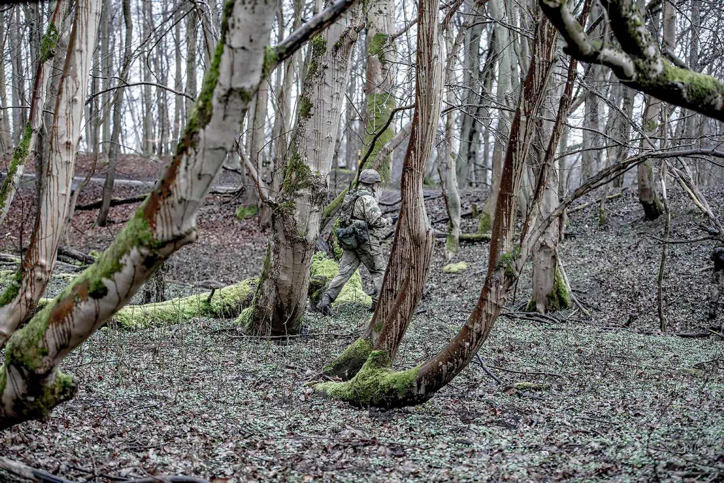 Officielt har Forsvaret siden 2004 gjort en indsats for at bekæmpe problemet, efter at en omfattende undersøgelse viste, at stort set alle kvinder i Forsvaret blev udsat for en form for kønskrænkende adfærd.