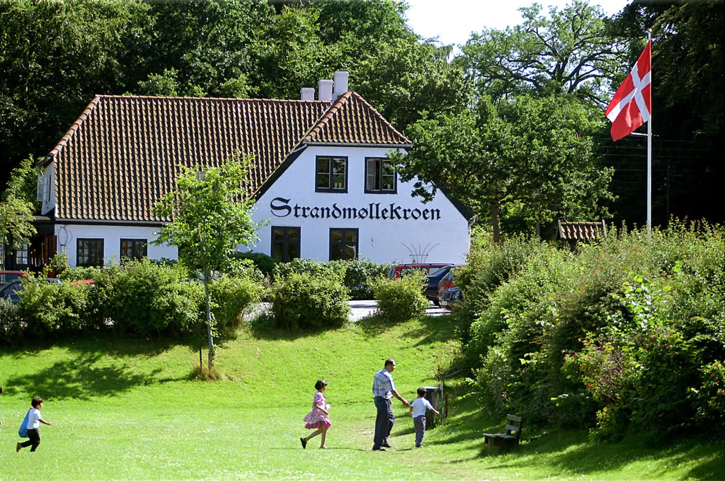 Strandmøllekrøn ved Øresund.