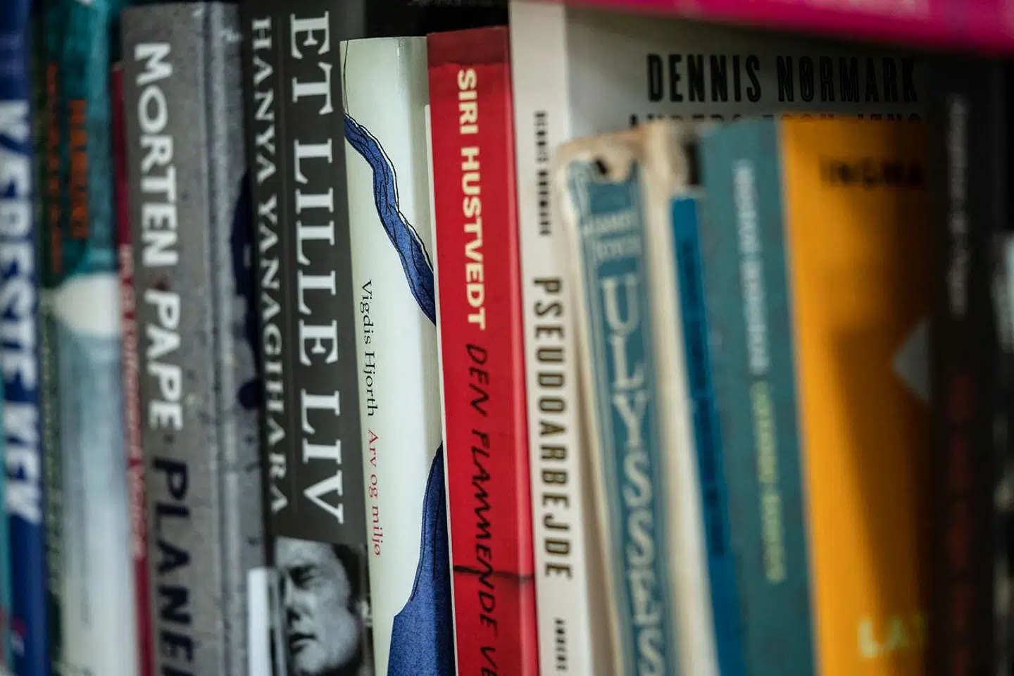 »Hvad handler kanondebatten da om? Den er et forsøg på at fastholde litteratur som dannelsesmiddel i skolesystemet. Det er litteraturen som sådan – af mænd og kvinder – der er truet. Kun en kanon kan forsvare litteraturen,« skriver Hans Hauge.