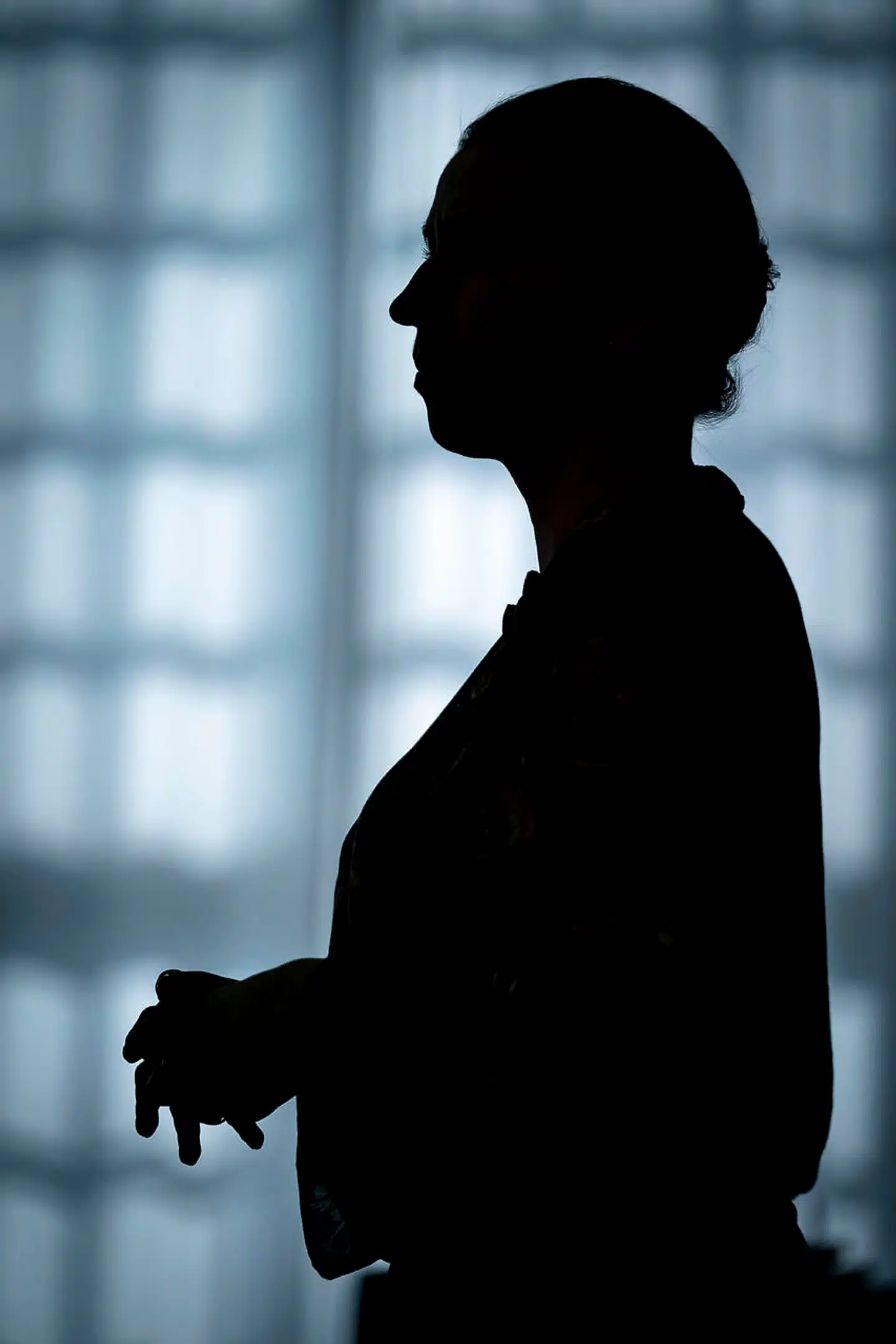 »Klima og miljø er det område, hvor Danmark kan gøre den absolut største forskel for verden. Ikke så få af de vindmøller eller pumper, som hver dag gør verdens lande grønnere, er »made in Denmark«.«