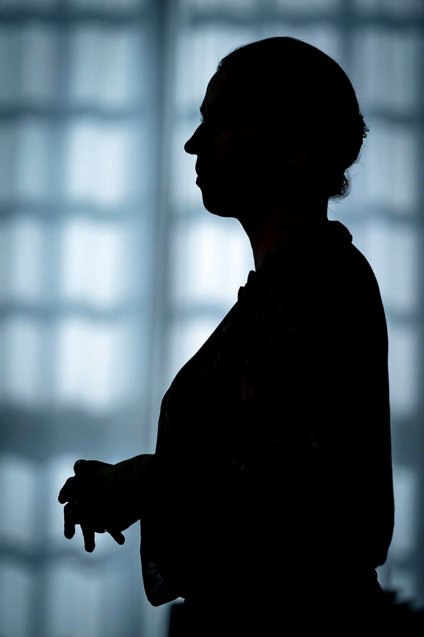 »Klima og miljø er det område, hvor Danmark kan gøre den absolut største forskel for verden. Ikke så få af de vindmøller eller pumper, som hver dag gør verdens lande grønnere, er »made in Denmark«.«