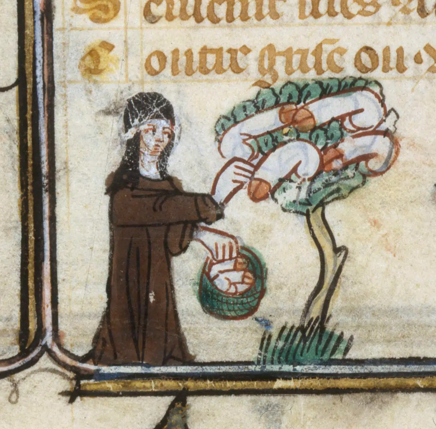 En nonne plukker frugterne fra et penistræ. Middealderligt håndskrift. Illustration fra bogen.