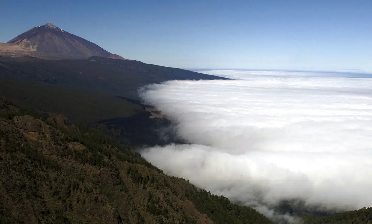 De Kanariske Øer har en dramatisk natur med enorme højdeforskelle som her nær Teide-vulkanen på Tenerife. Men her er, som Ann Kate Øhrstrøm lægger vægt på, ingen farlige dyr.