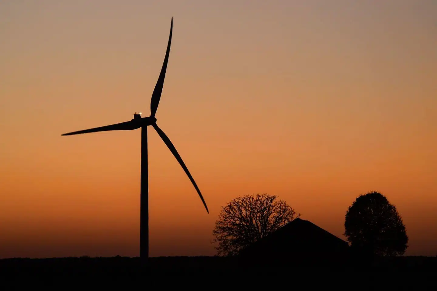 En stor del af midlerne fra EUs genopretningsfond er øremærket investeringer i den grønne omstilling.