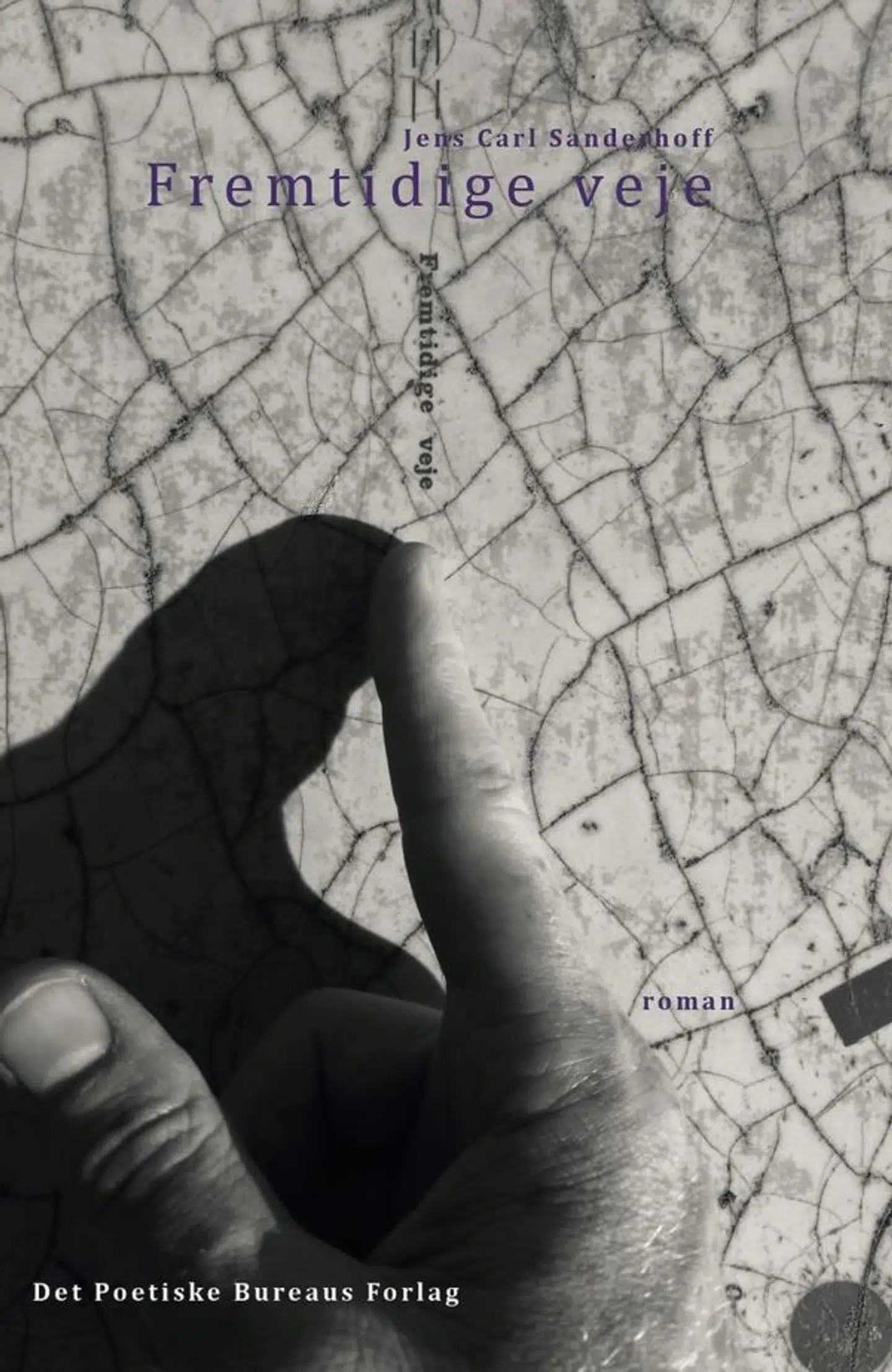 Omslag af bogen »Fremtidige veje«.