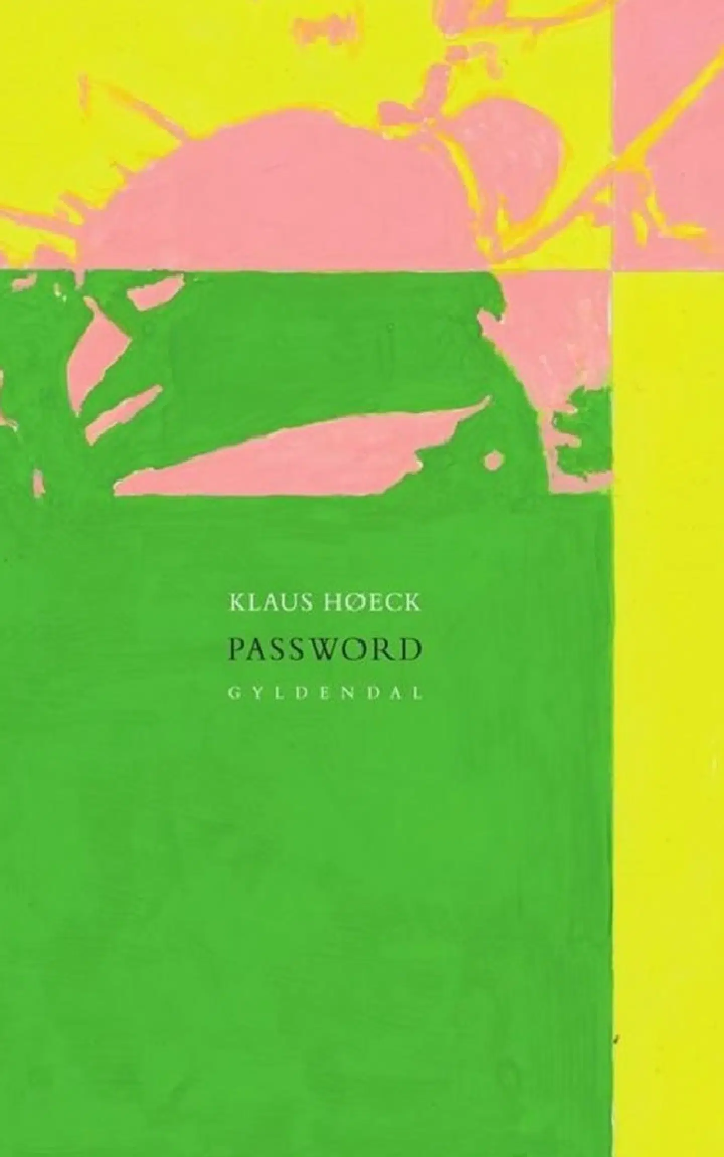 Omslag af bogen »Password«.