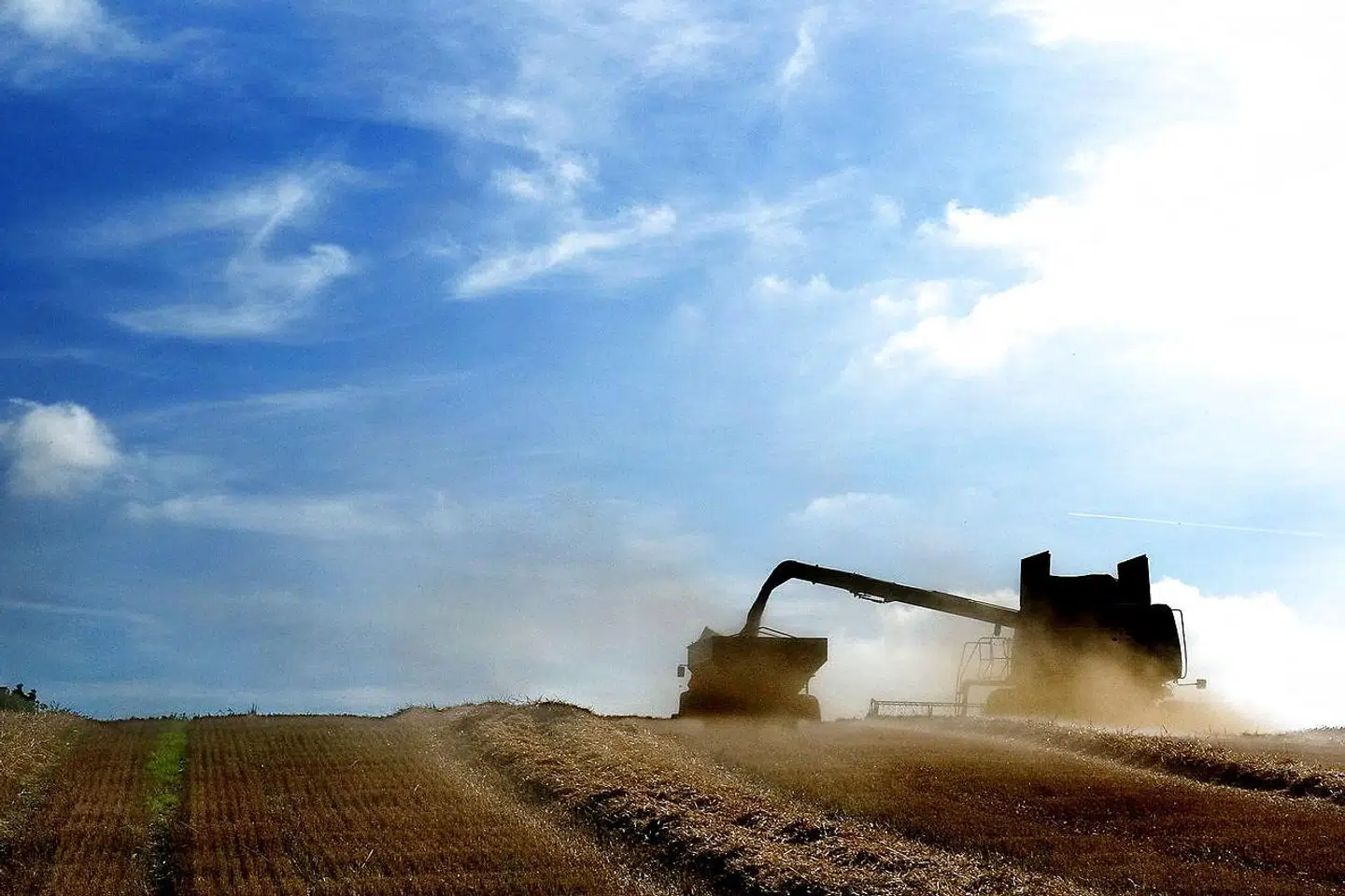 »Den grønne omstilling lykkes kun, hvis vi får skabt tryghed om rammevilkår og fremtidige investeringer. Derfor denne klare opfordring til såvel regering, støttepartier og opposition: Skal omstillingen lykkes, skal aftalerne være brede,« skriver Truels Damsgaard, Kristian Hundebøll, Henning Haahr, Peder Tuborgh og Jais Valeur.