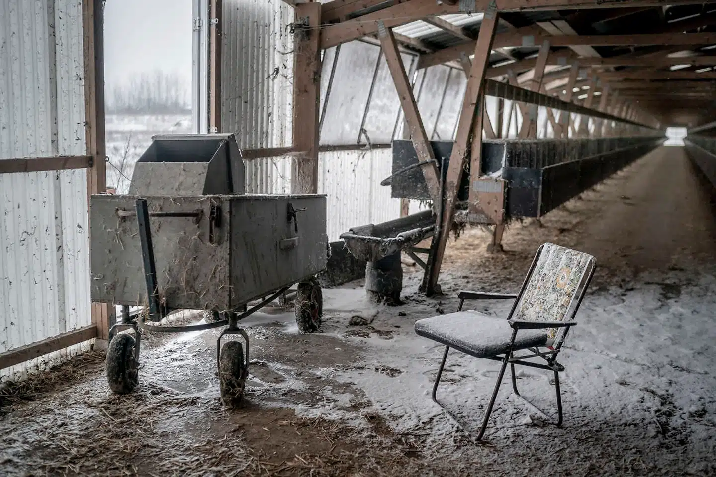 En øde dansk minkfarm. Berlingske kan via aktindsigt og hidtil ubelyste dokumenter påvise fejl i sagen om aflivningen af de danske mink.
