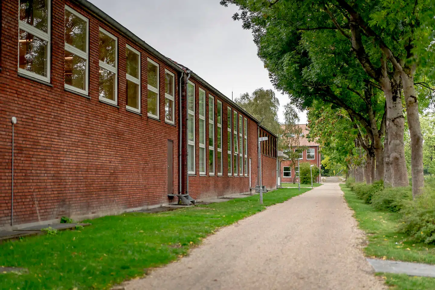 Under et spisefrikvarter på Lindehøjskolen i Herlev truede en 11-årig dreng 24. september 2020 med at begå selvmord. Årsagen var angiveligt, at to drenge fra hans klasse havde mobbet ham. Nu er rapporten om mobning på den pågældende skole færdig.