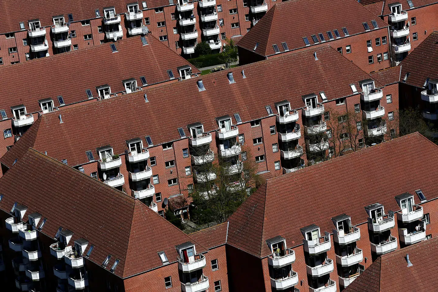 »Det er en af de fineste værdier i Danmark, at vi har en høj grad af lighed – og at vi har en stor grad af tryghed og tillid. Sådan er det bare ikke i ghettoerne,« skriver Halime Oguz.