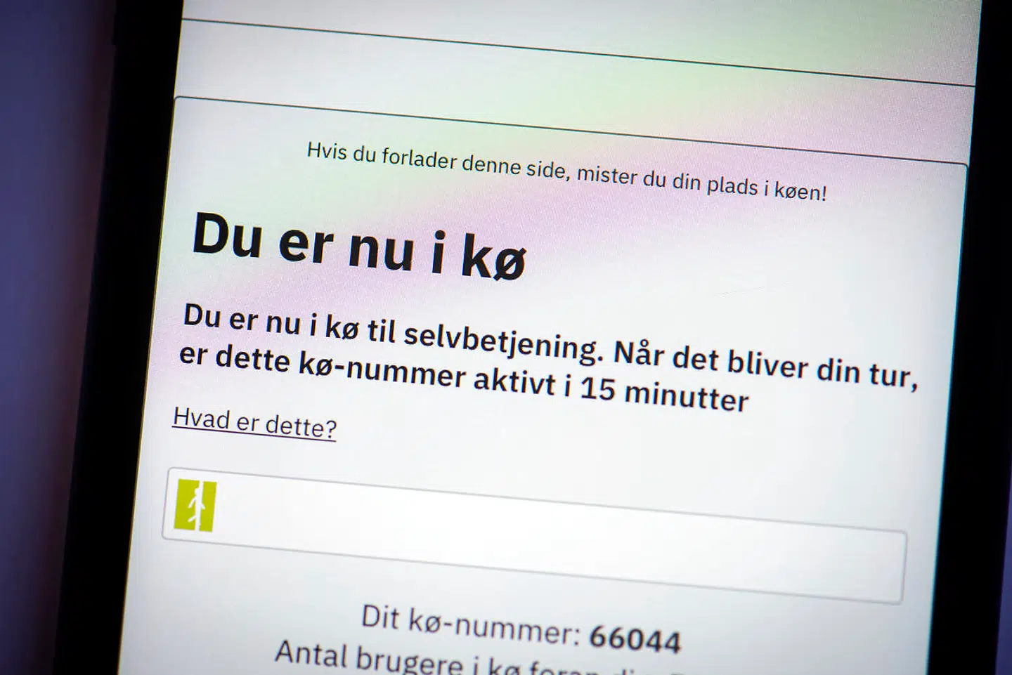 Arkivfoto: Bestilling af feriepenge på borger.dk på iPhone XR tirsdag den 29. september 2020.