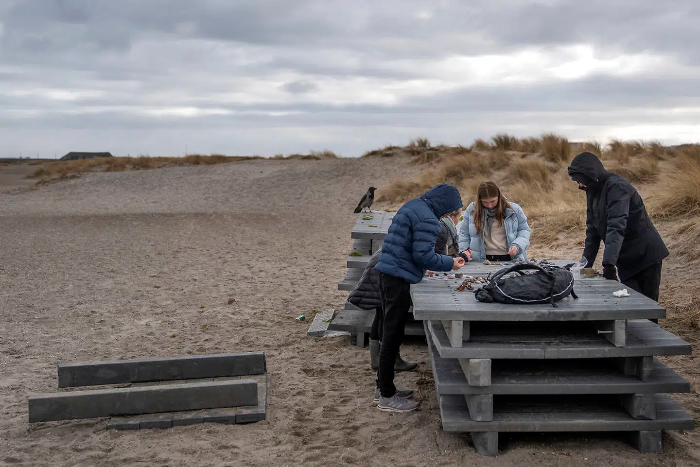 8. klasse på Skolen ved Grundtvigsvej på Frederiksberg skulle mandag mødes til fysisk undervisning. Naturfag var i centrum – og det skulle have foregået ved Amager Strandpark.