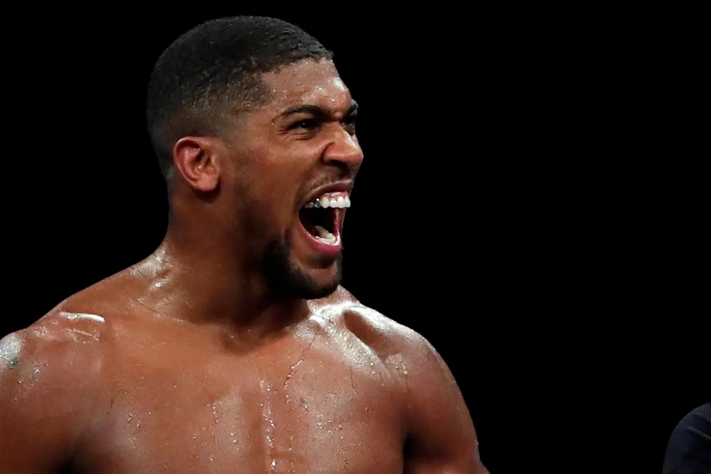 Britiske Anthony Joshua besejrede Kubrat Pulev i december og skal nu møde landsmanden Tyson Fury. Andrew Couldridge/Reuters
